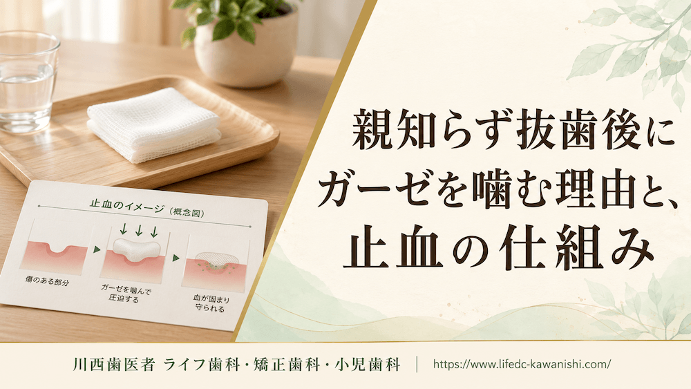 親知らず抜歯後にガーゼを噛む理由と、止血の仕組み