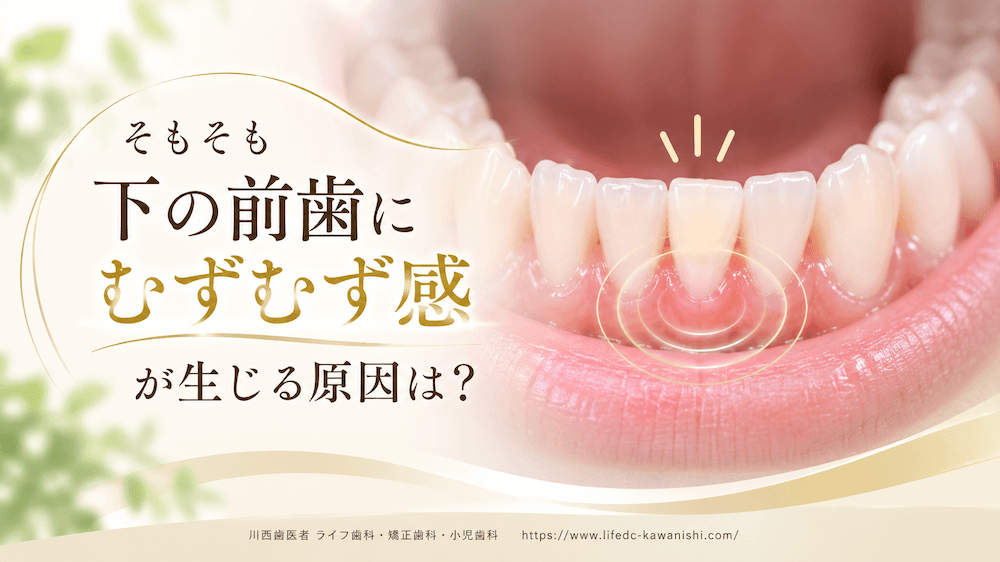そもそも下の前歯にむずむず感が生じる原因は？