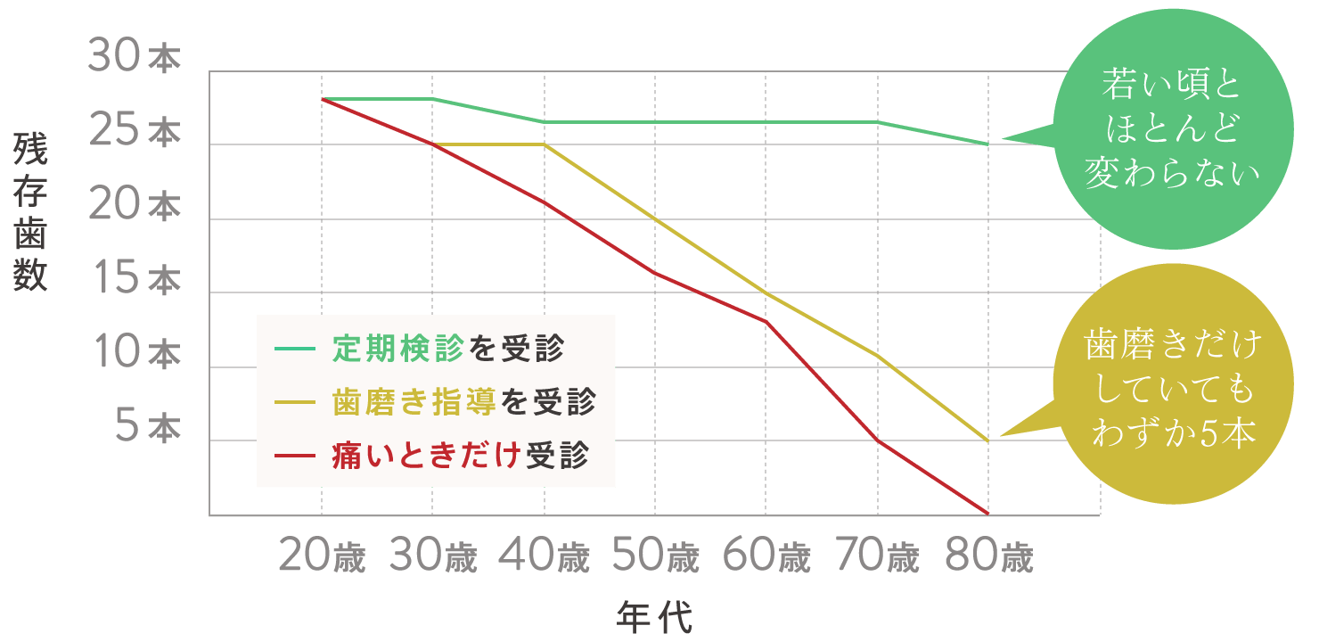 歯科医院のかかり方と残存歯数